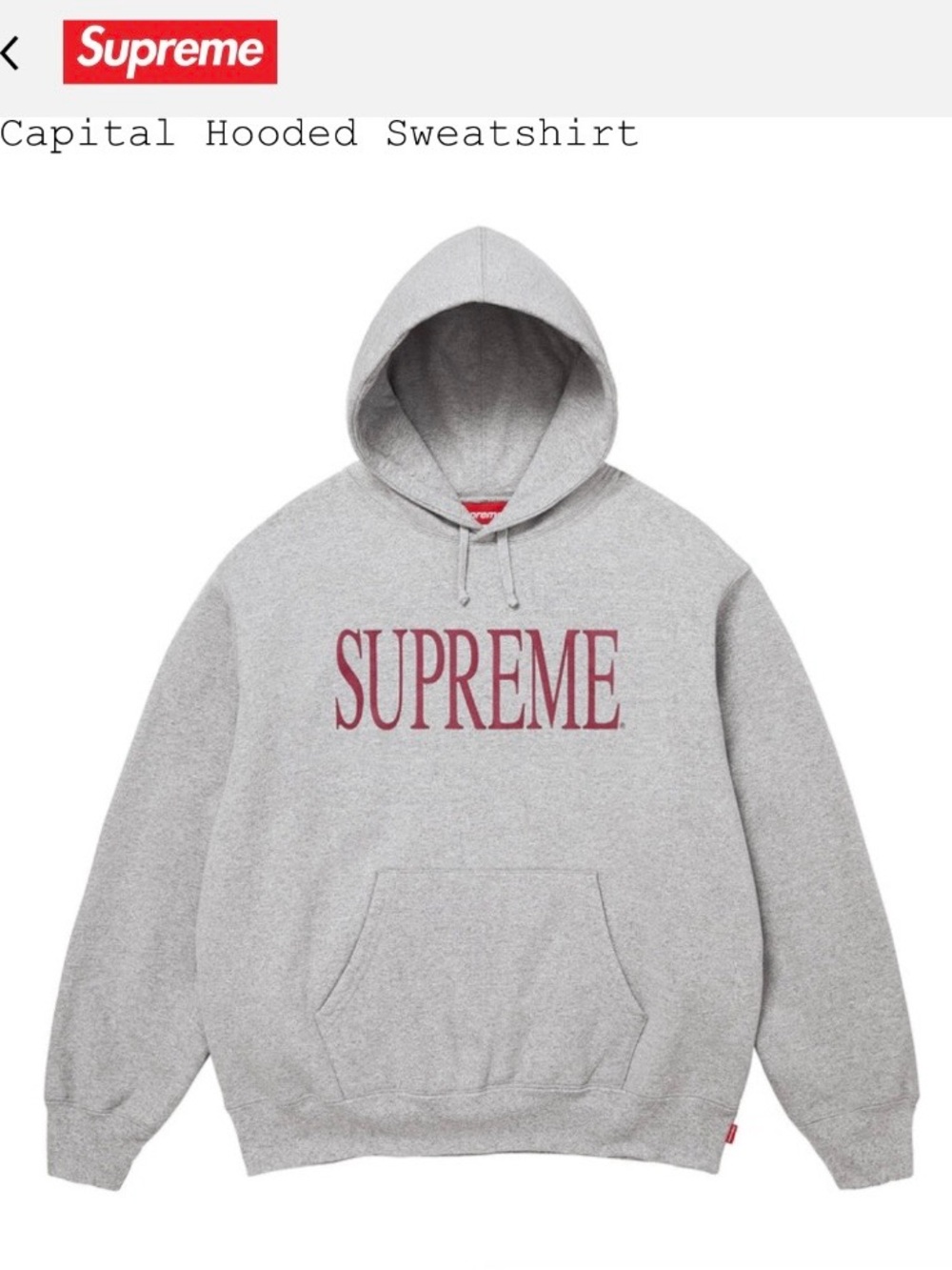 Supreme Capital Hooded Sweatshirt